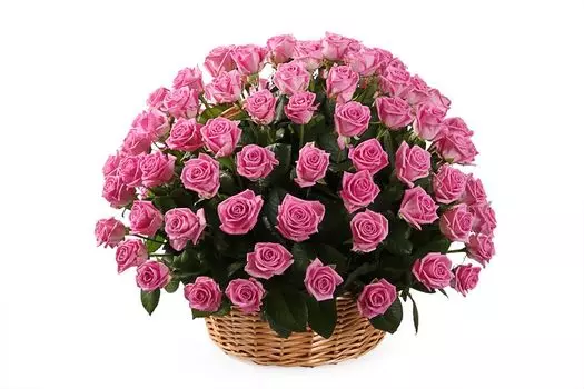 Букет 101 роза Аква в корзине