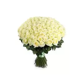 Букет 101 роза Аваланш 60/70 см + Десерт в ПОДАРОК!