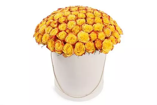 Букет 101 роза Хай Еллоу в шляпной коробке