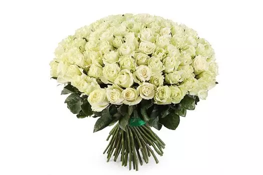 Букет 101 роза Мондиаль