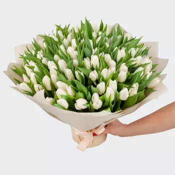 Букет 101 тюльпан Белое облако