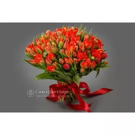 Букет 101 тюльпан, красно-оранжевые