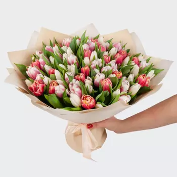 Букет 101 тюльпан Сны феи