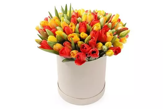 Букет 101 тюльпан в коробке, красно-желтый микс