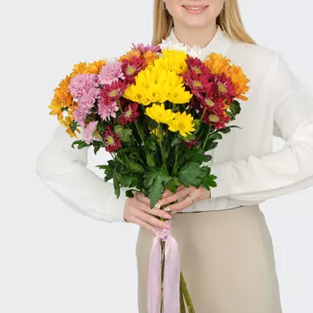 Букет 11 кустовых хризантем микс