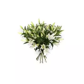 Букет 11 лилий Белая красавица