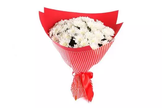 Букет 15 белых кустовых хризантем в красной бумаге