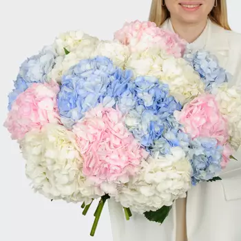 Букет 15 гортензий Цветочные облака