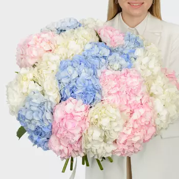 Букет 19 гортензий Цветочные облака