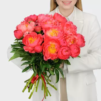Букет 19 пионов В порыве чувств