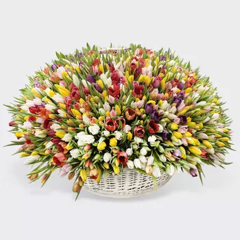 Букет 2001 тюльпан в корзине