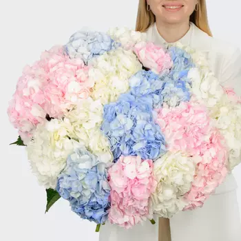Букет 21 гортензий Цветочные облака