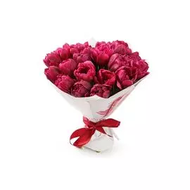 Букет 25 королевских тюльпанов, малиновые