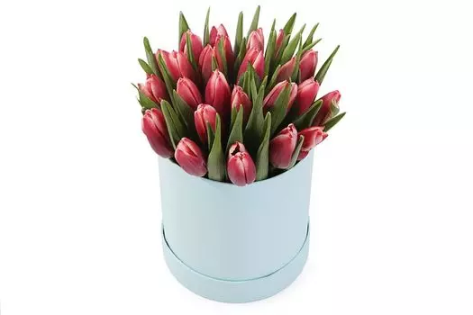 Букет 25 королевских тюльпанов в коробке, алые