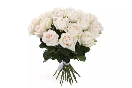 Букет 25 роз Вайт О'Хара
