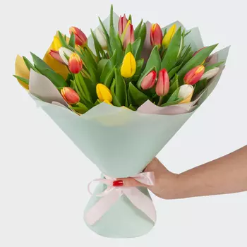 Букет 25 тюльпанов Лучики солнца