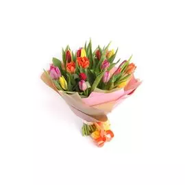 Букет 25 тюльпанов микс, в радужной упаковке