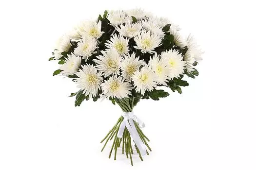 Букет 31 хризантема Сингл