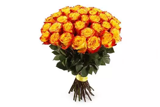 Букет 35 роз Хай Еллоу
