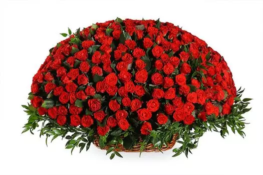 Букет 501 роза в корзине