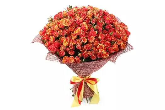 Букет 50 кустовых роз Фаер Флеш