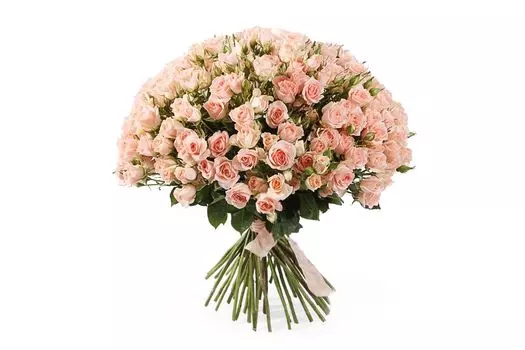 Букет 50 кустовых роз Свит Сара
