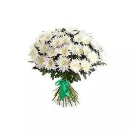 Букет 51 хризантема Сингл