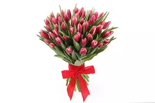 Букет 51 королевский тюльпан, алые