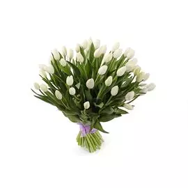 Букет 51 белый тюльпан