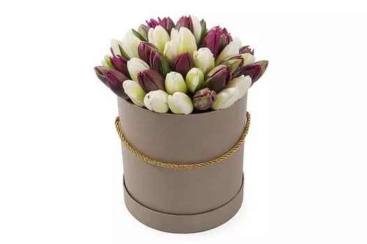 Букет 51 королевский тюльпан в коричневой коробке, бело-пурпурный микс