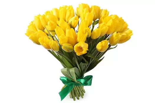 Букет 51 королевский тюльпан, желтые