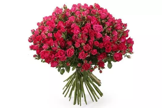 Букет 51 кустовая роза Алисия