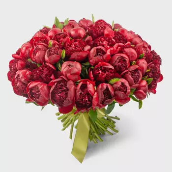 Букет 51 пион Красный жемчуг