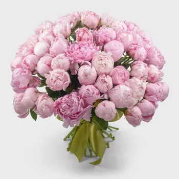 Букет 51 пион Розовый жемчуг