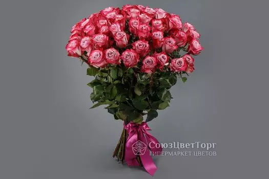 Букет 51 роза Дип Перпл