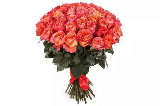 Букет 51 роза Фри Спирит