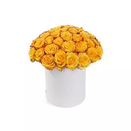 Букет 51 роза Хай Еллоу в белой шляпной коробке