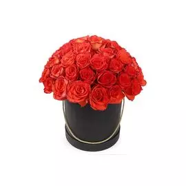 Букет 51 роза Хай Мэджик в шляпной коробке