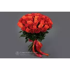 Букет 51 роза, малиново-оранжевый микс