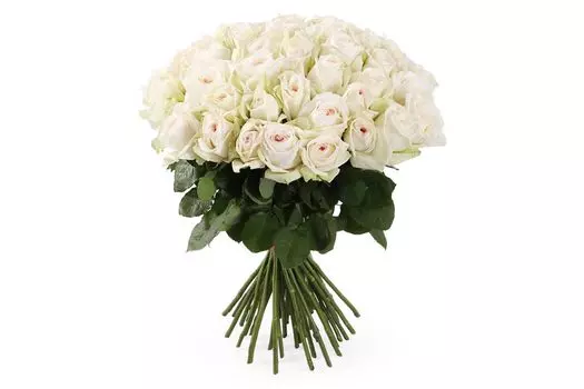 Букет 51 роза Вайт О'Хара