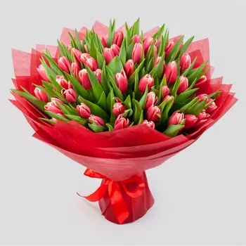 Букет 51 тюльпан Алый закат