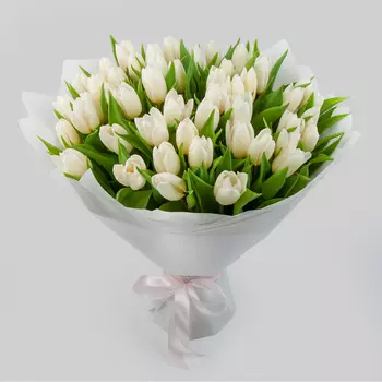 Букет 51 тюльпан Белое облако