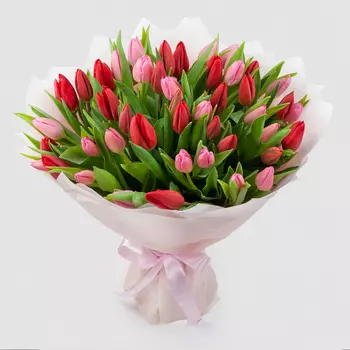 Букет 51 тюльпан Весенняя нежность