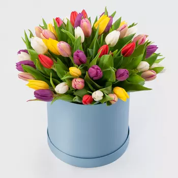 Букет 51 тюльпан в голубой коробке Нежные объятия