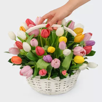 Букет 51 тюльпан в корзине Невинное удовольствие