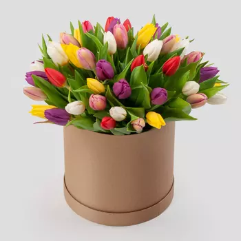 Букет 51 тюльпан в золотой коробке Нежные объятия