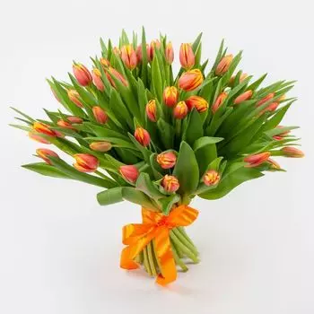 Букет 51 тюльпана Рыжее солнышко