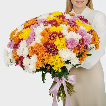 Букет 75 кустовых хризантем микс