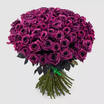 Букет 75 роз Одна любовь