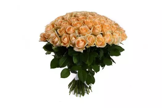 Букет 75 роз Пич Аваланш